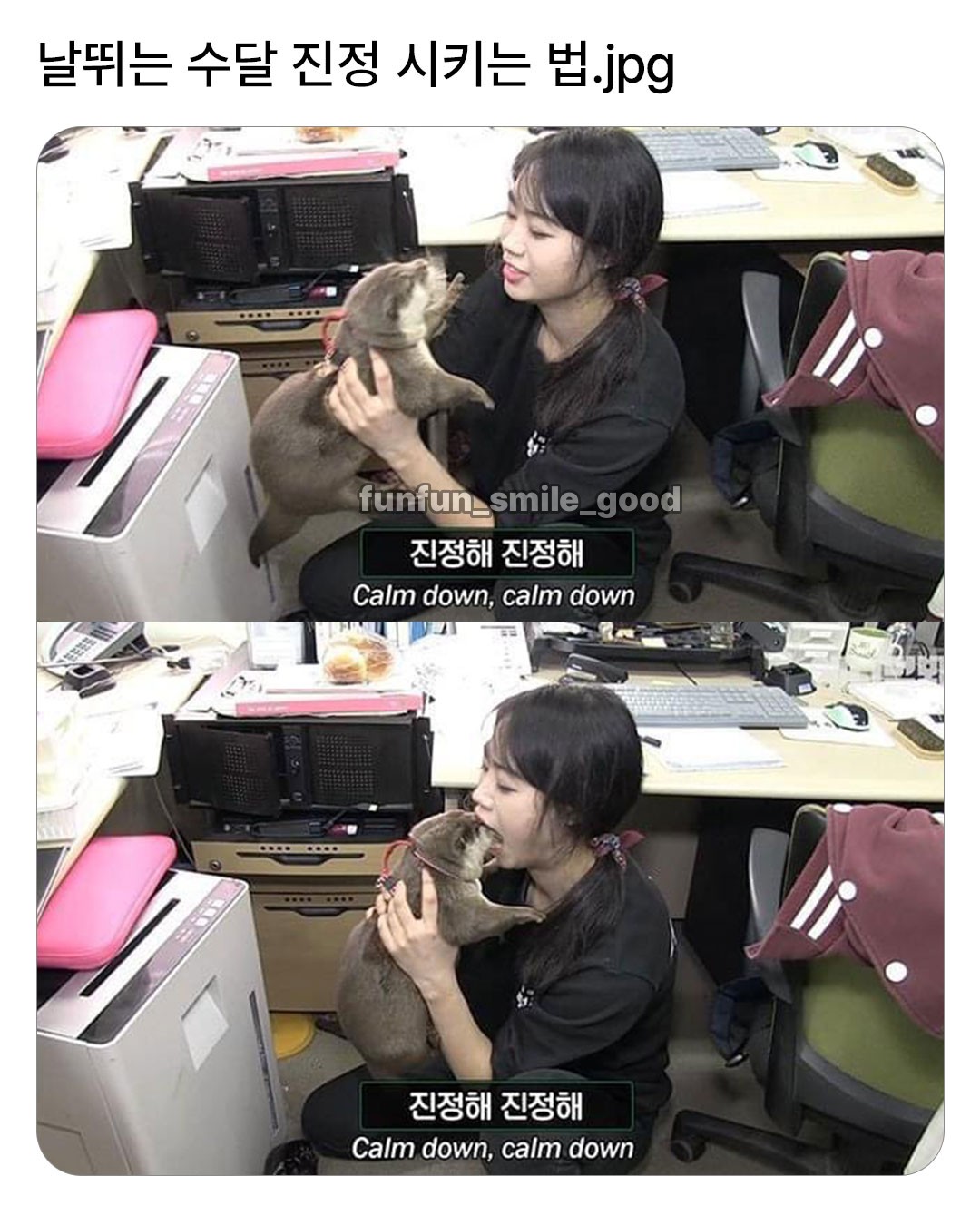 게시물 이미지
