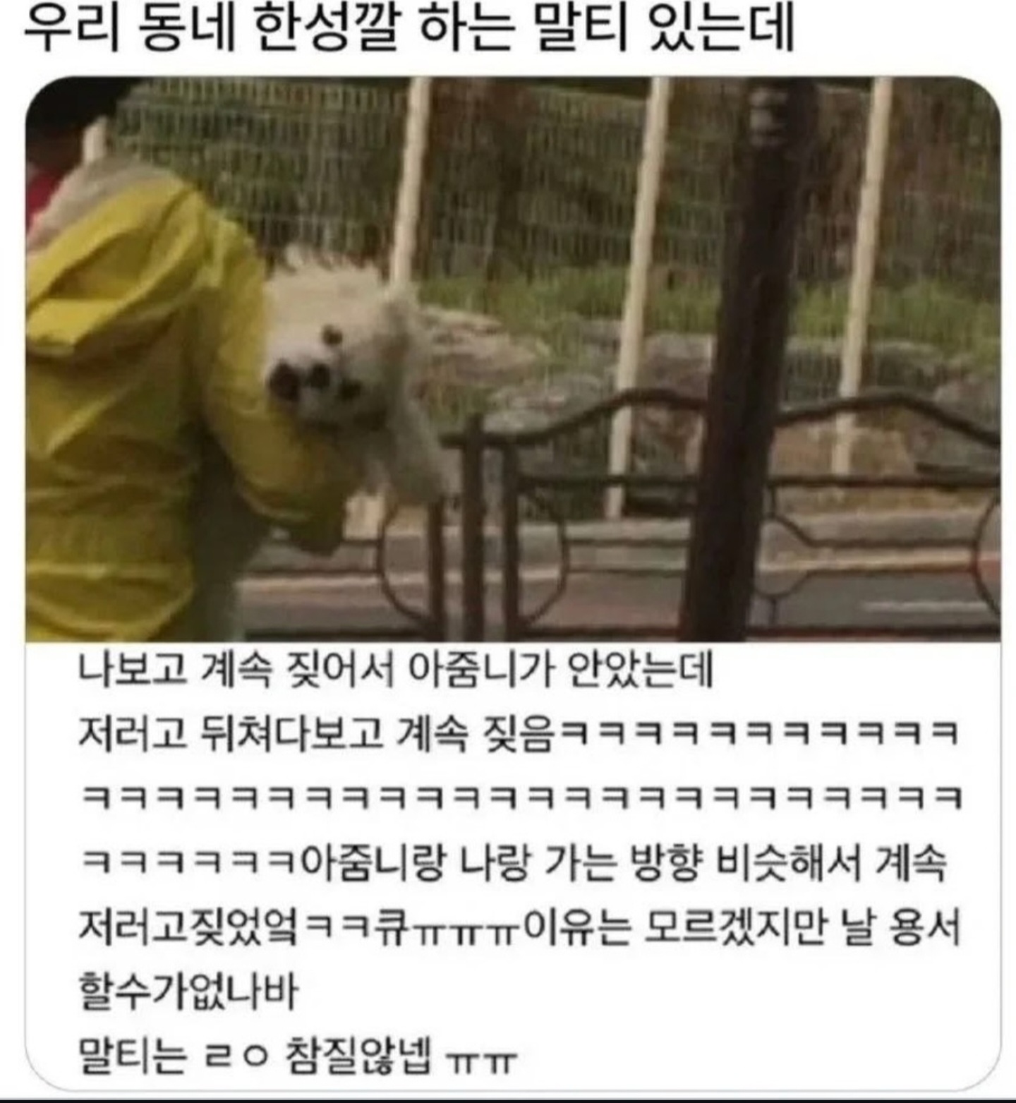 게시물 이미지
