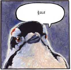 게시물 이미지