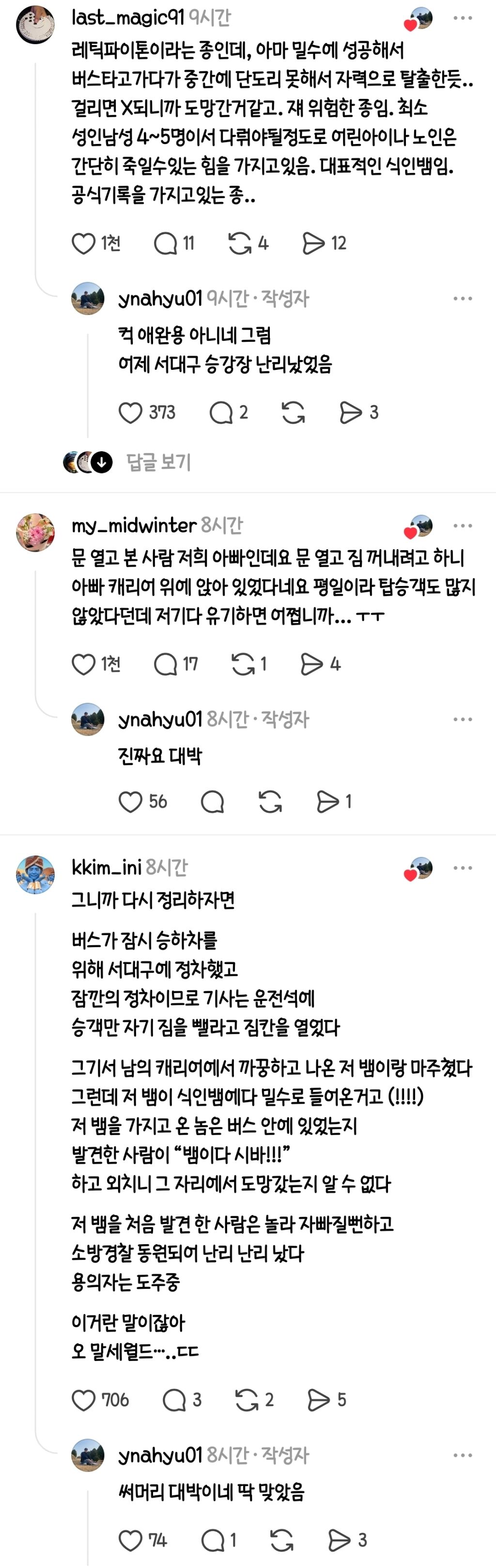 게시물 이미지