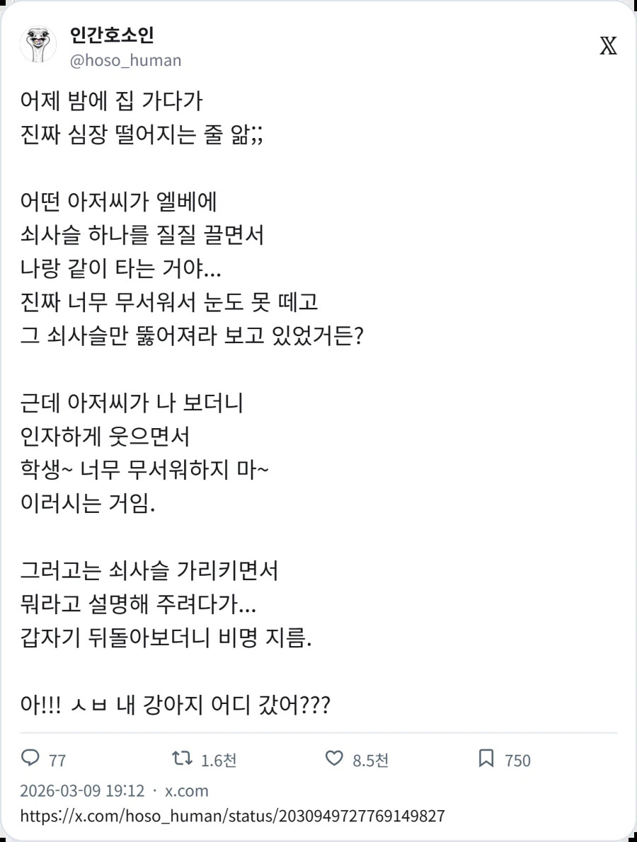 게시물 이미지