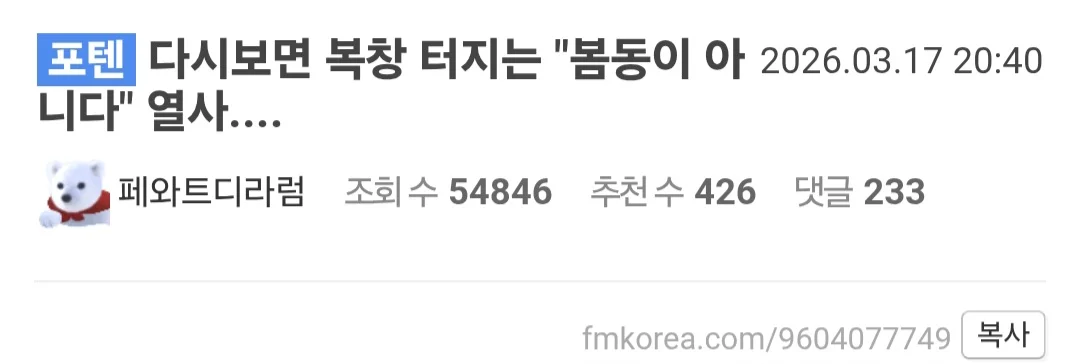 게시물 이미지