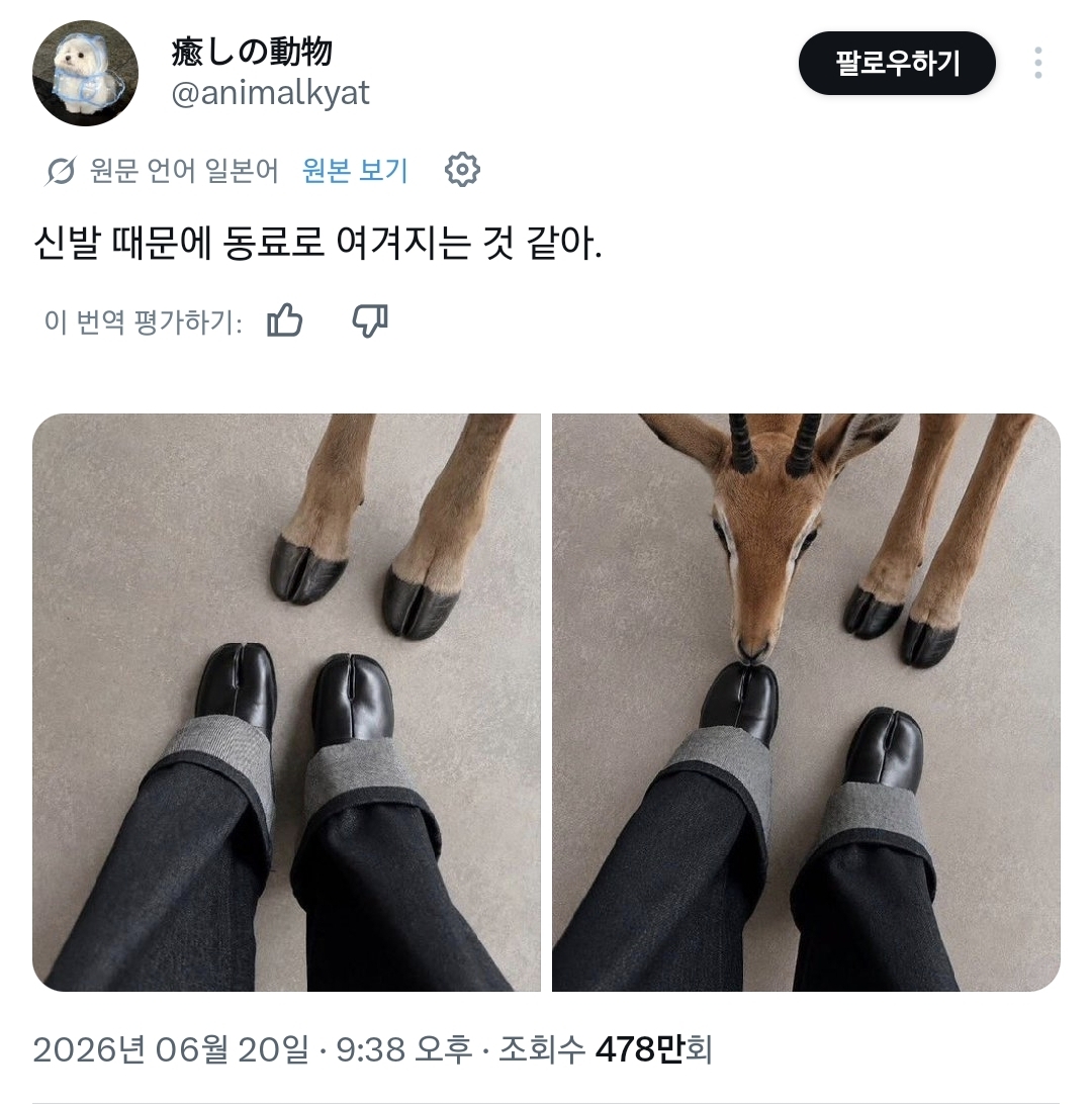 게시물 이미지