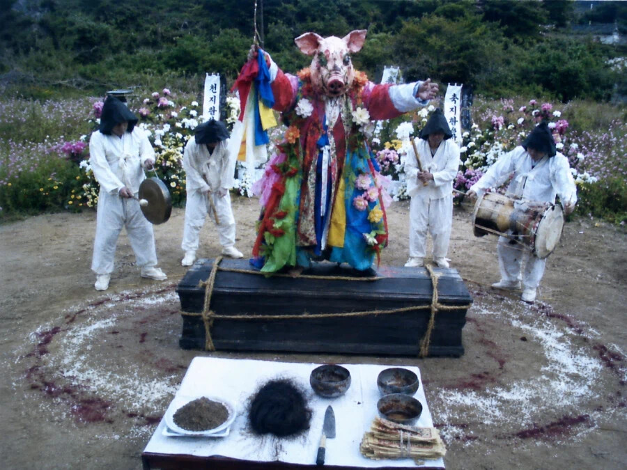 게시물 이미지